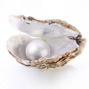 Buy 100% Original Pearl Birthstone | South Sea Pearl | Get 20% Off