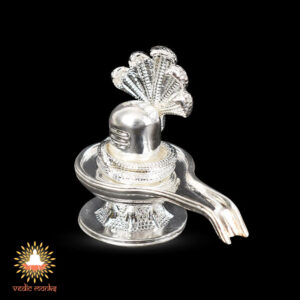 shivling-in-pure-silver